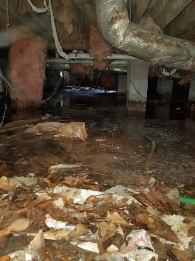 Crawl space flood assessment for Leak Detection & Repair in Pampa